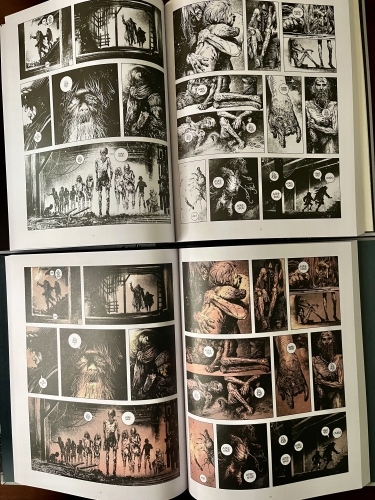 a route,cormac mccarthy,manu larcenet,éditions dargaud,éditions points,éditions de l'olivier