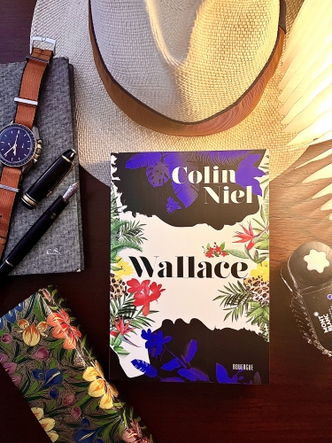 Wallace, Colin Niel, éditions du rouergue