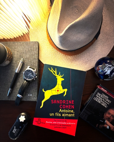 sandrine cohen,antoine un fils aimant,éditions belfond