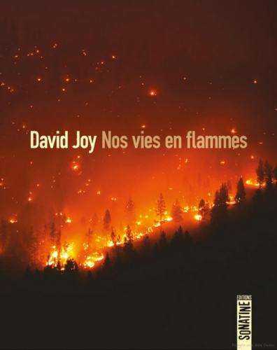 david joy,nos vies en flamme,sonatine