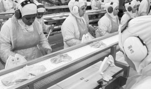 eli cranor,a la chaîne,editions sonatine,blog min roman noir et bien serré,blog littéraire,parution 2026,roman noir,littérature noire,littérature américaine