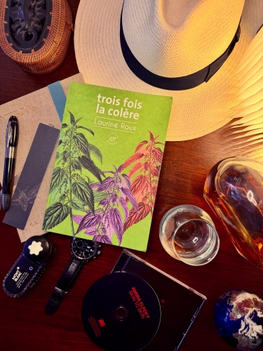 laurine roux,trois fois la colère,éditions du sonneur,roman noir,roman historique,conte médiéval,mon roman noir et bien serré,chronique littéraire,blog littéraire,lecture 2025,littérature noire