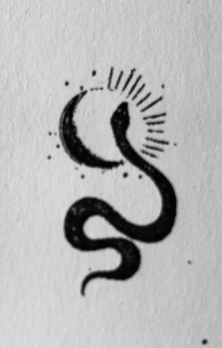 olivier ciechelski,le livre des prodiges,éditions du rouergue,roman policier,roman fantastique,littérature noire,blog mon roman noir et bien serré,blog littéraire,chronique littéraire,lecture 2026,parution 2025,avis de lecture