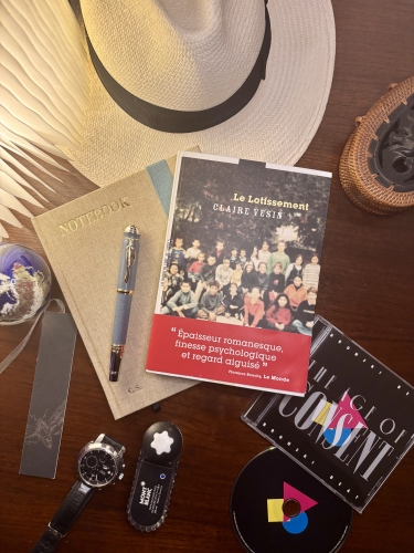 claire vesin,le lotissement,la manufacture de livres,chronique littéraire,blog littéraire,livre 2025,roman noir,littérature noire