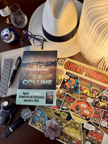 mathilde beaussault,la colline,editions seuil polar,blog mon roman noir et bien serré,blog littéraire,chronique littéraire,actualité littéraire,roman noir,roman policier,parution 2026,lecture 2026