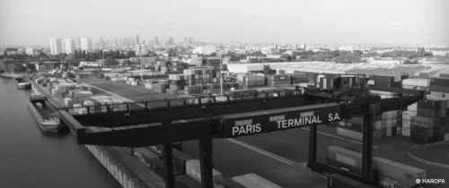 olivier ciechelski,le livre des prodiges,éditions du rouergue,roman policier,roman fantastique,littérature noire,blog mon roman noir et bien serré,blog littéraire,chronique littéraire,lecture 2026,parution 2025,avis de lecture