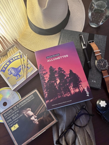 jurica pavicic,allumettes,blog mon roman noir et bien serré,éditions agullo,chronique littéraire,littérature noire,retour de lecture,blog littéraire,lecture 2026,rentrée littéraire