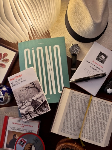 jean giono,un roi sans divertissement,éditions gallimard,éditions folio,édition de la pléiade,chronique littéraire,avis de lecture,blog littéraire,roman noir,classique littéraire,mon roman noir et bien serré,littérature française